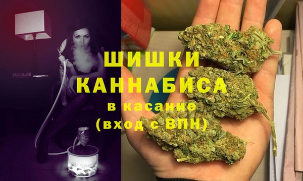 индика Майский