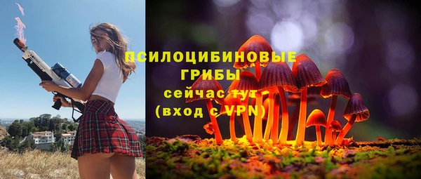 амф Балахна